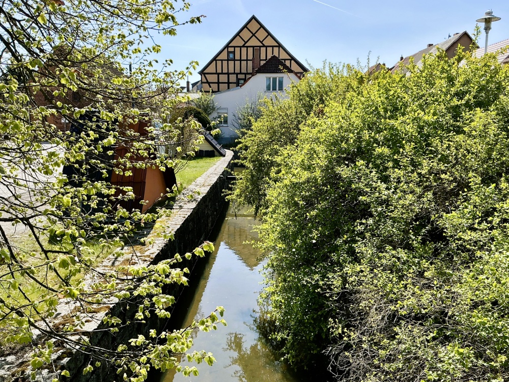 Berste vor dem Haus