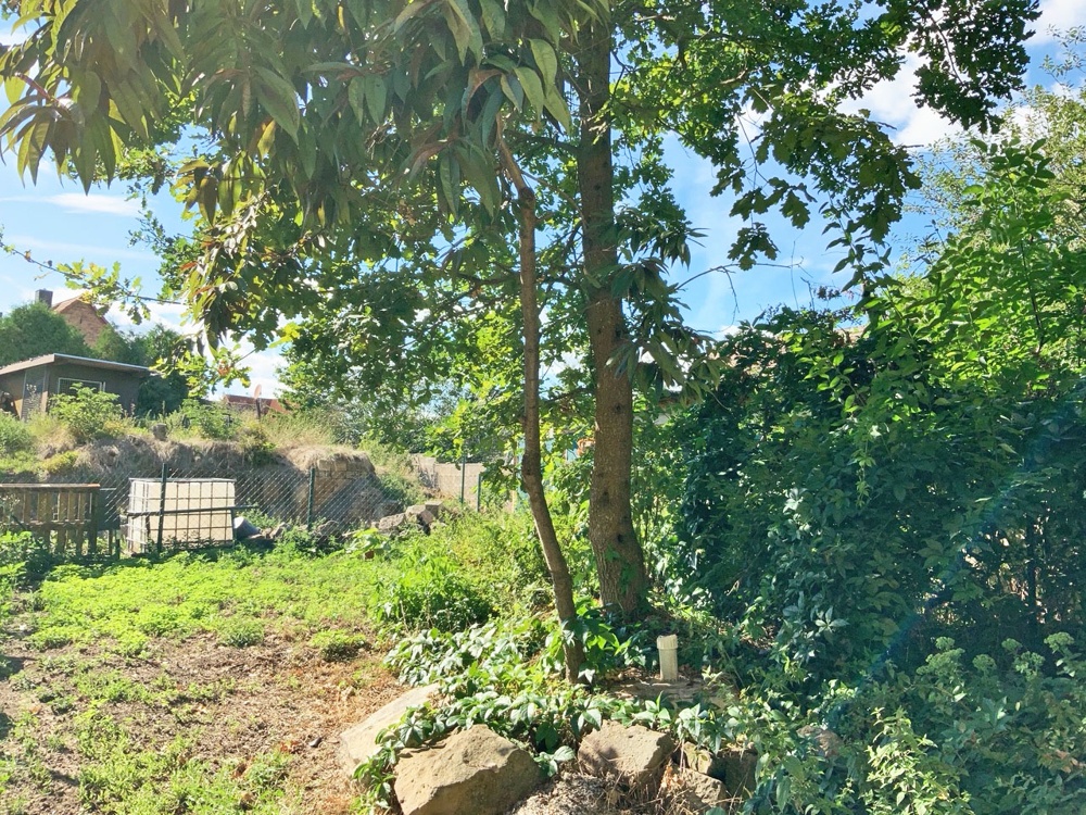 Garten Garten