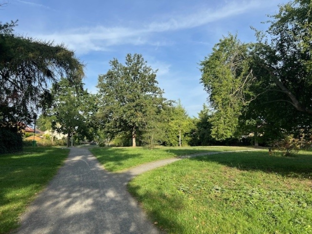 Umgebung Park