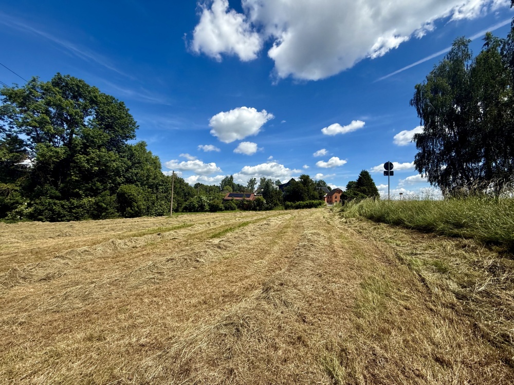 Blick auf das Grundstück