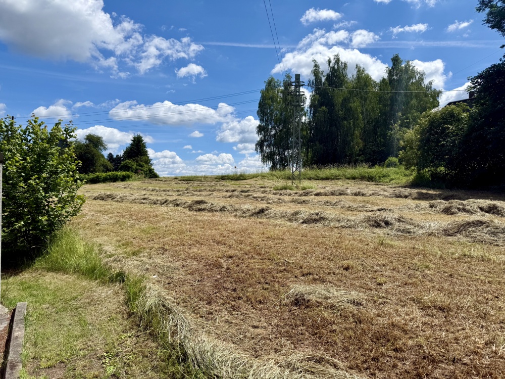 Blick auf das Grundstück