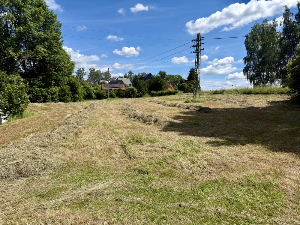 großzügige Grundstücksfläche