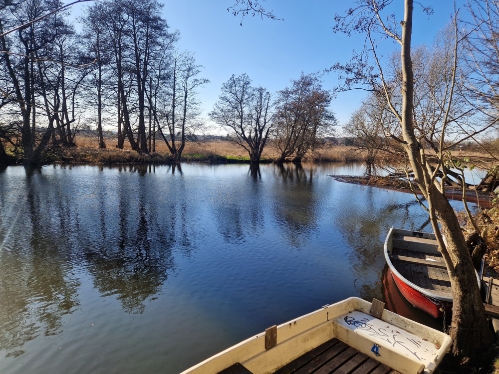 Die Warnow in unmittelbarer Nähe