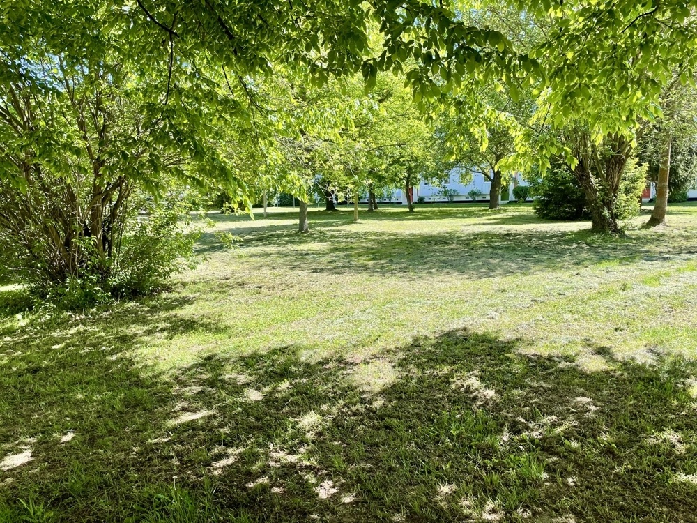 Gemeinschaftsgarten