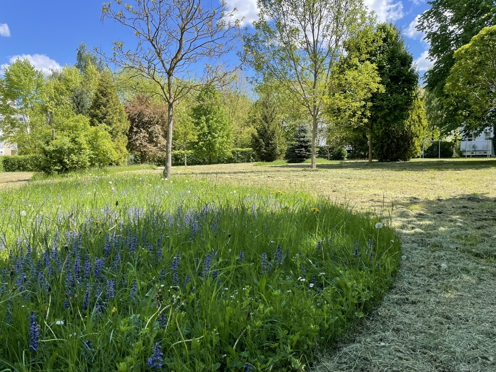 Gemeinschaftsgarten
