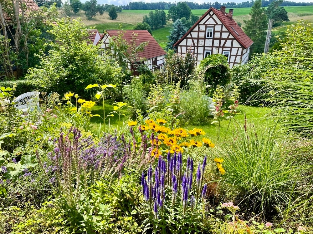 Gartenimpressionen