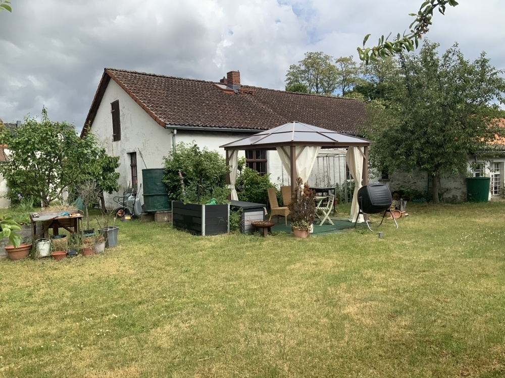 Blick in den Garten