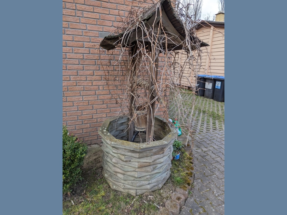 PXL_20240313_105153859