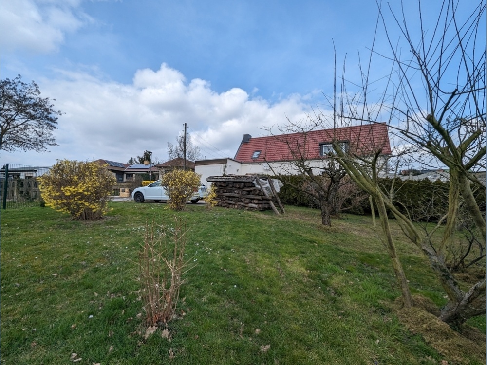 PXL_20240313_105403095