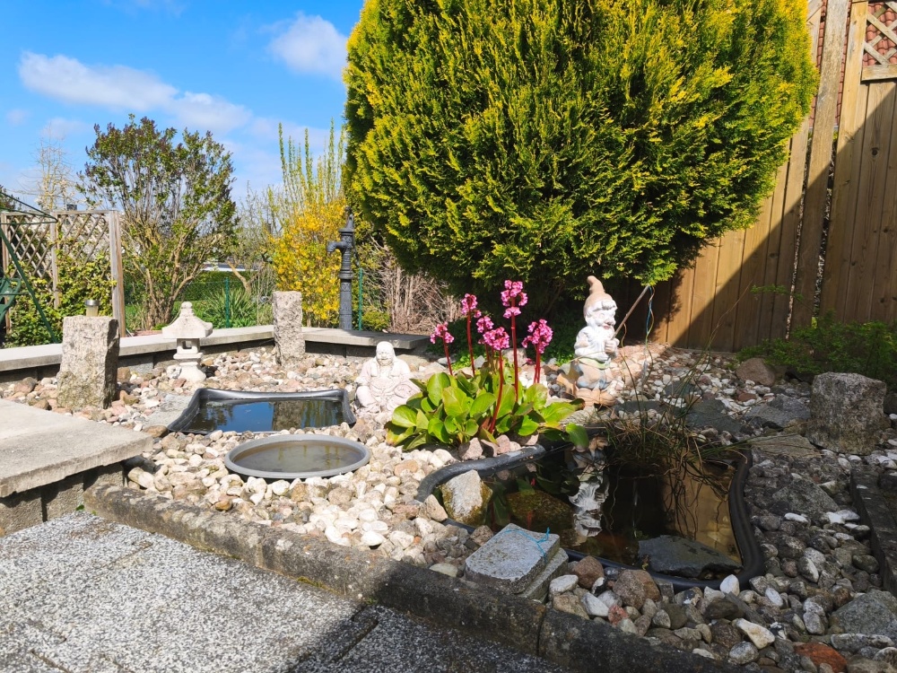 Garten-Teich