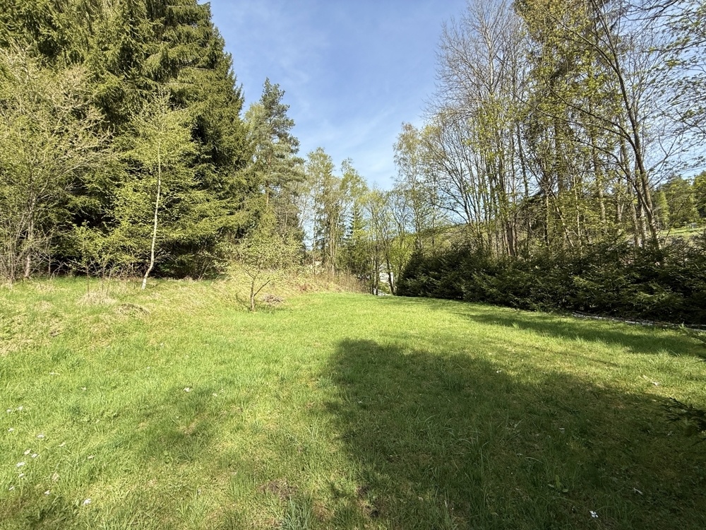 Blick ins Grundstück