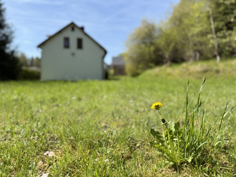 Gartenimpression