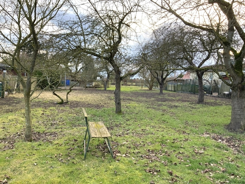 Blick in den Garten