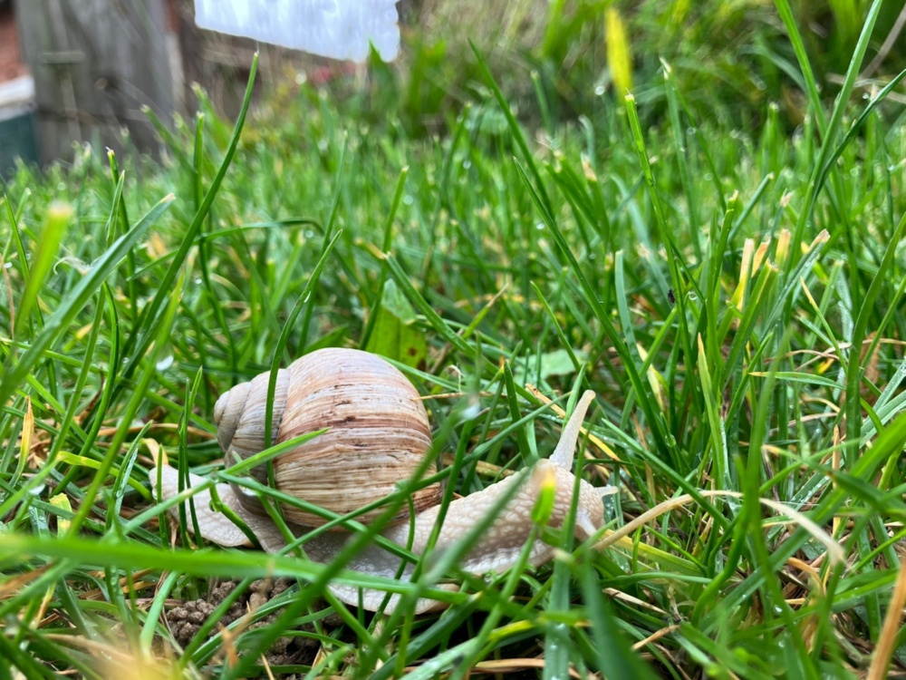 Einklang mit der Natur