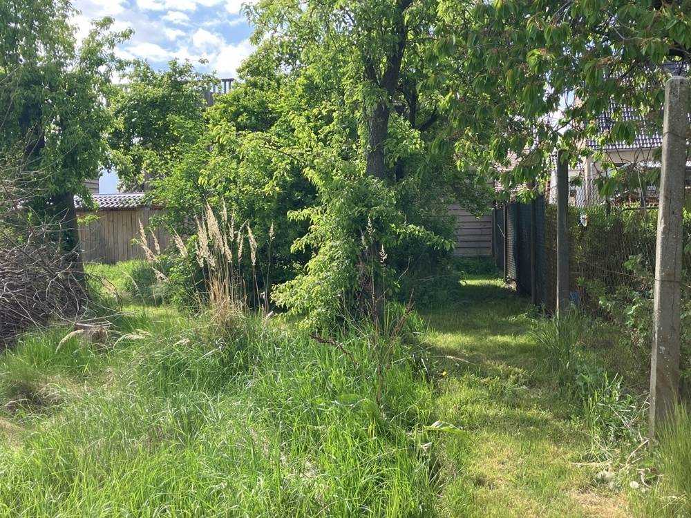 Garten am Hühnerstall