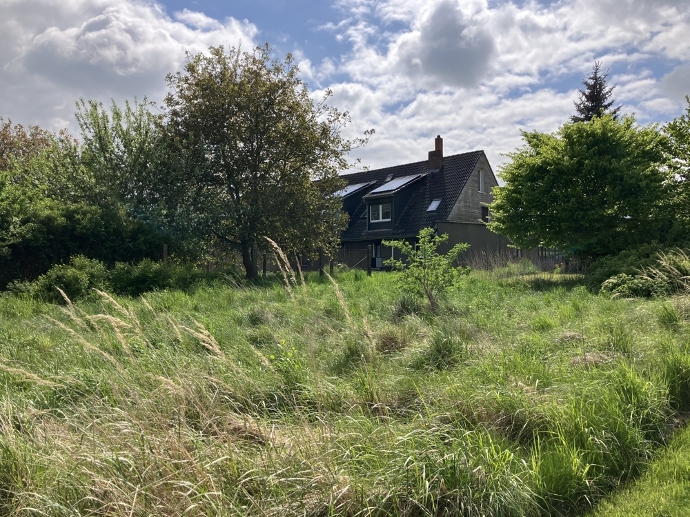 Blick zum Wohn haus aus dem Garten