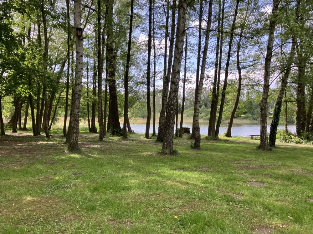 Laufstrecke entlang des Ufers