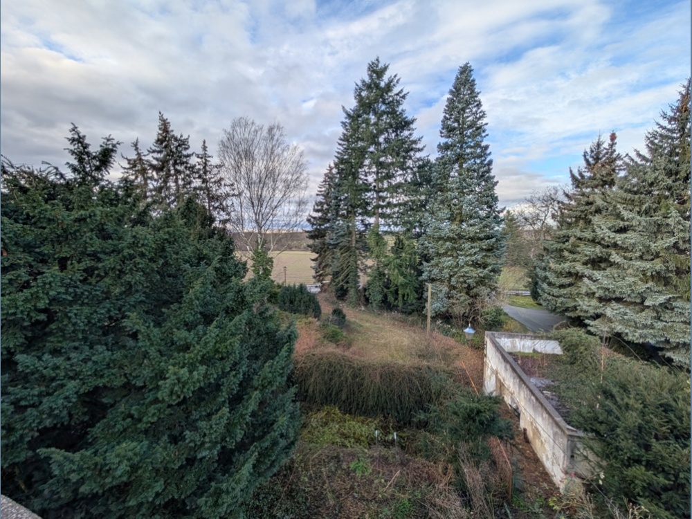 Blick von Dachterrasse zur Straße