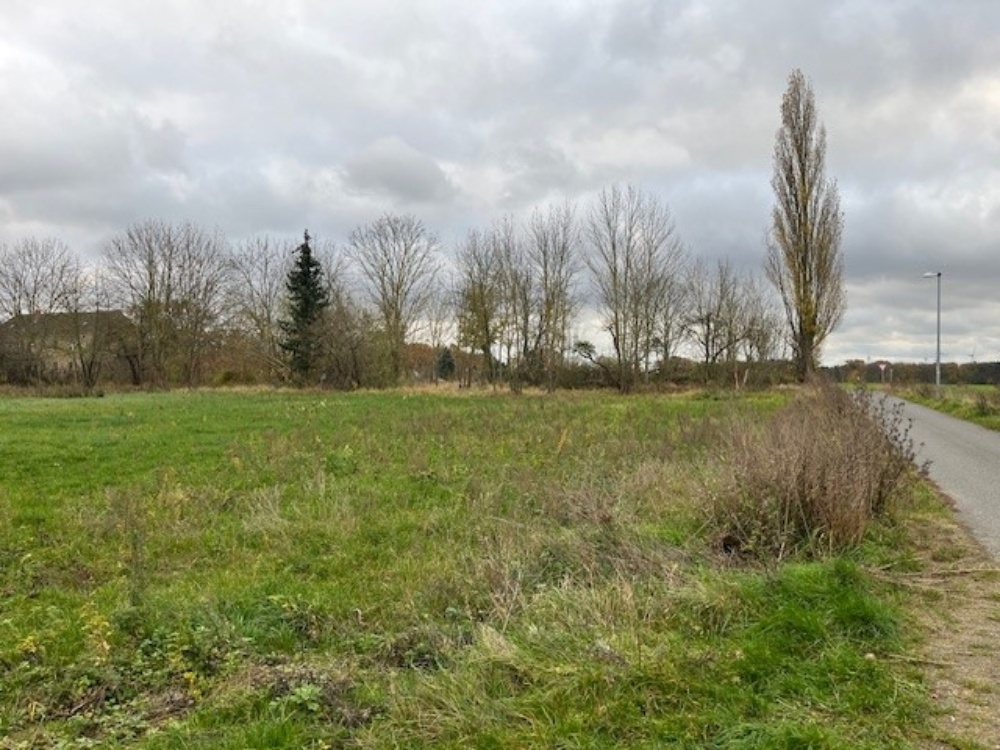 Ansicht