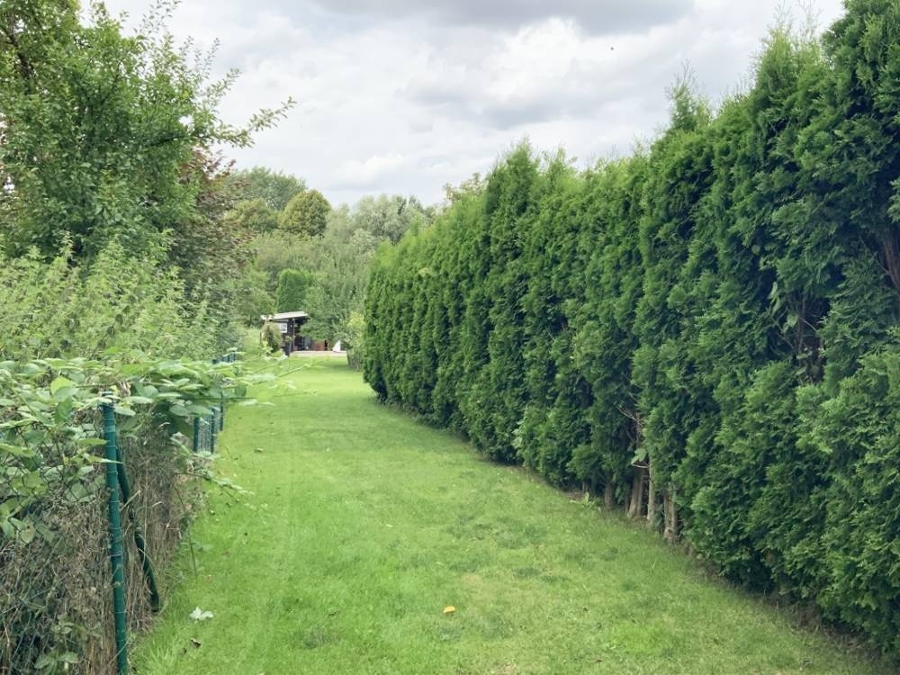 Weg zum Garten