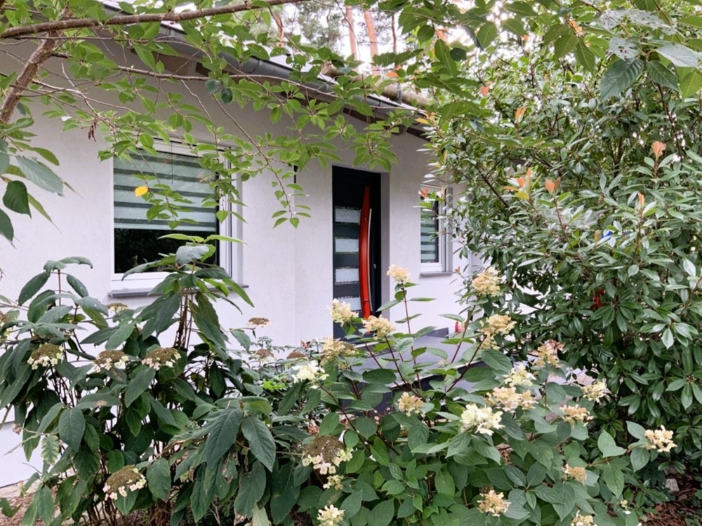 Hauseingang und Natur