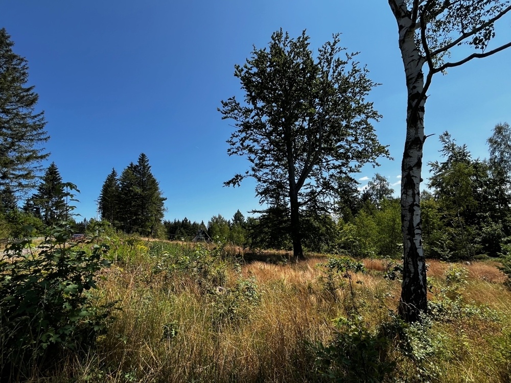 Blick auf das Gesamtgrundstück