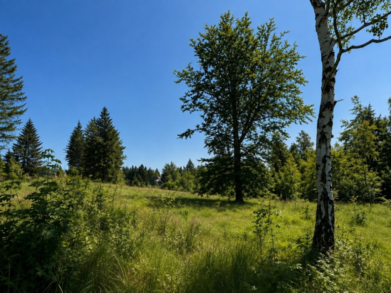 Blick auf das Grundstück