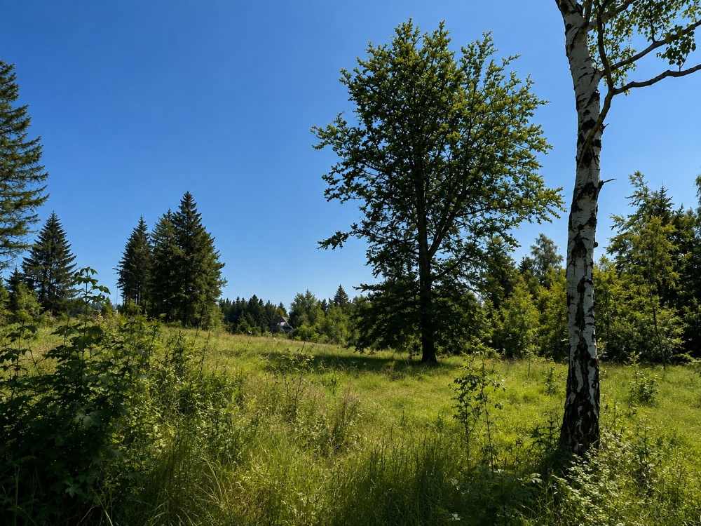 Blick auf das Grundstück