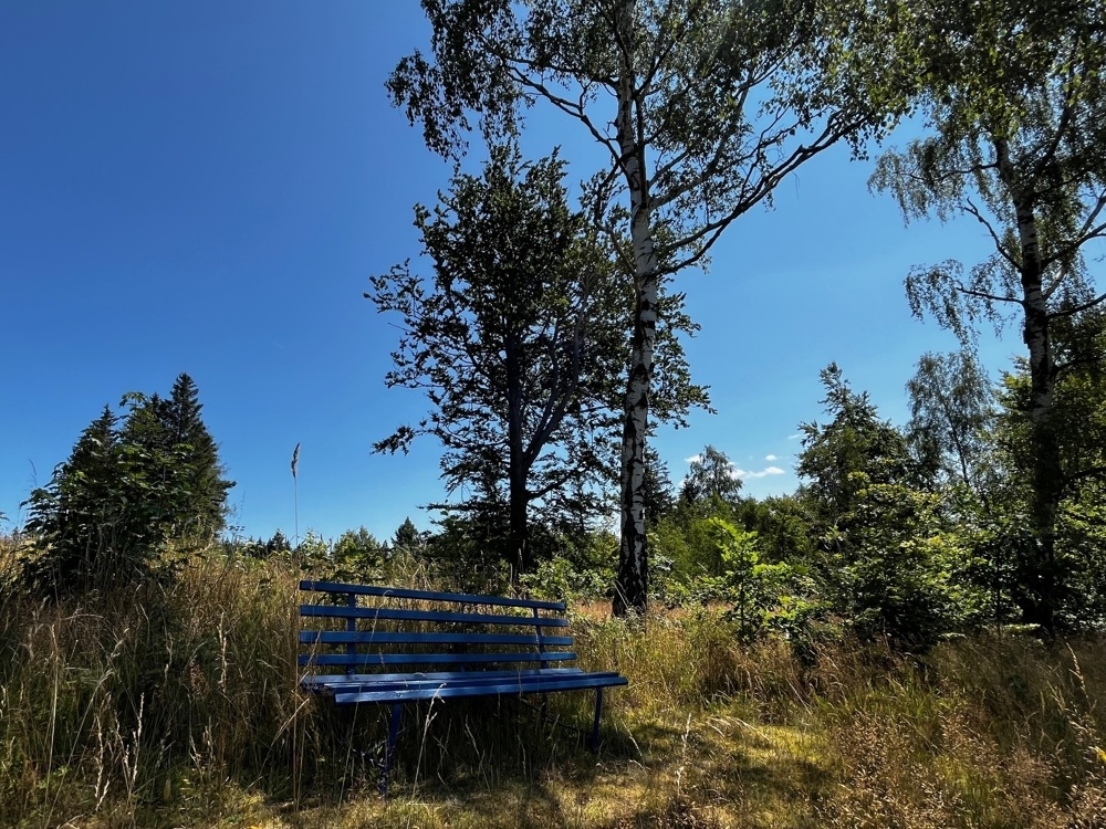 Bank am Rande zur Bergwiese