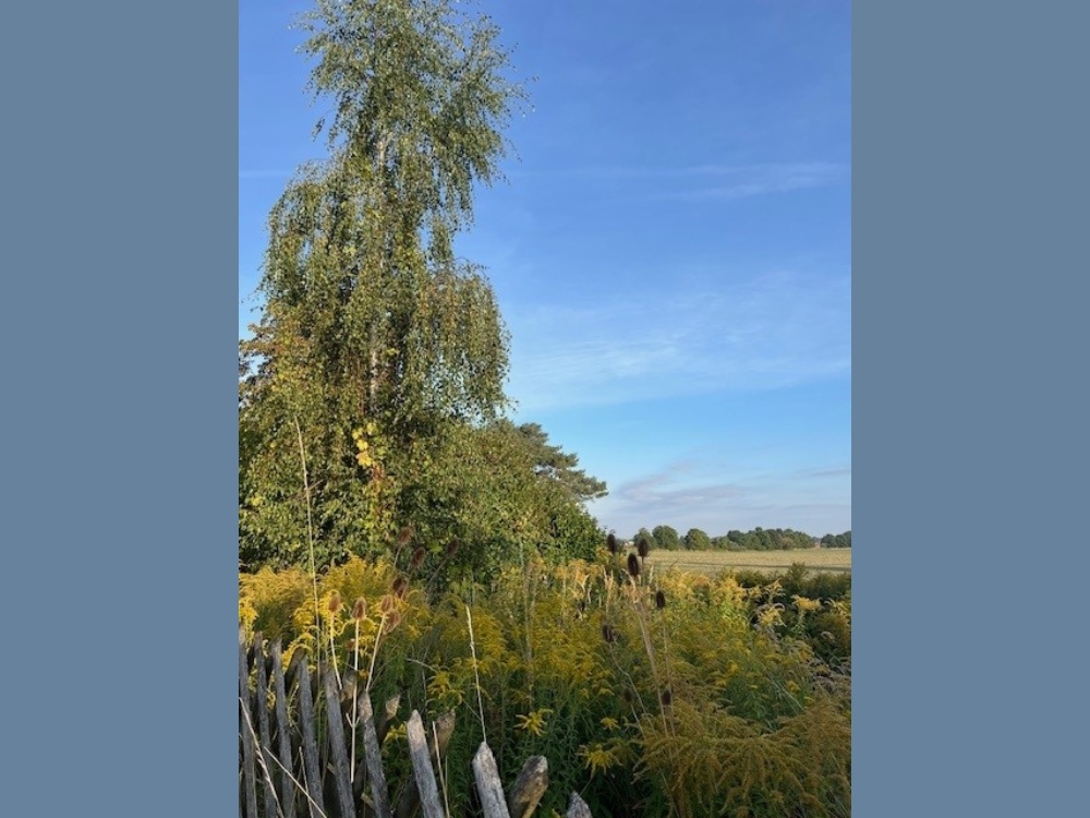 Ausblick hinten