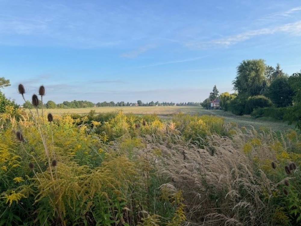 Ausblick hinten