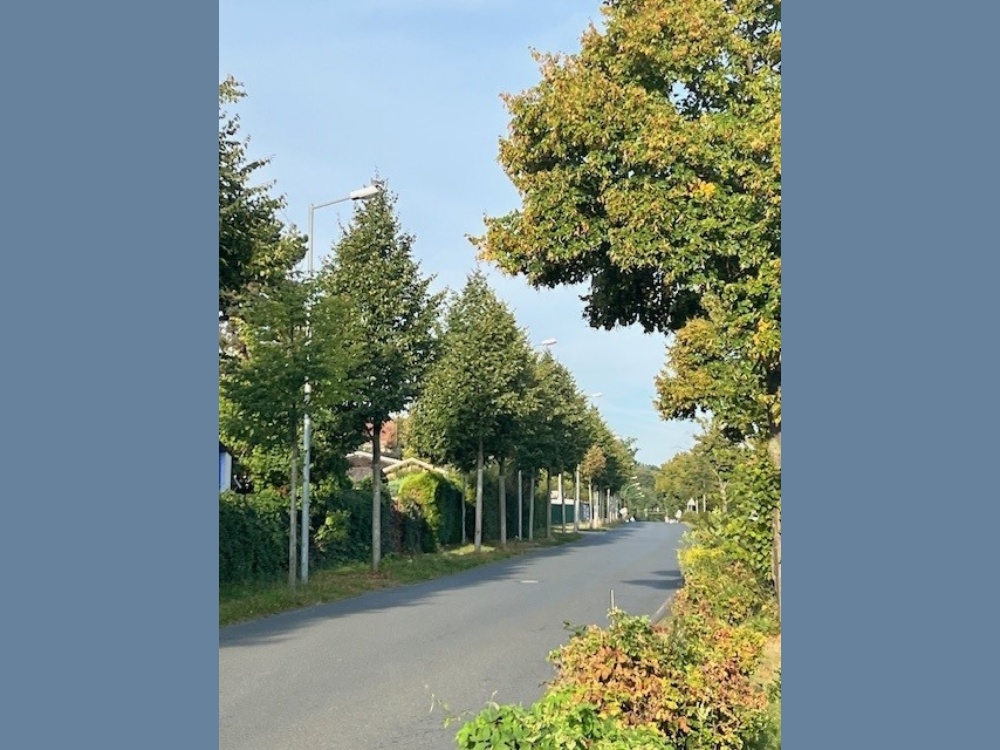 Straßenansicht