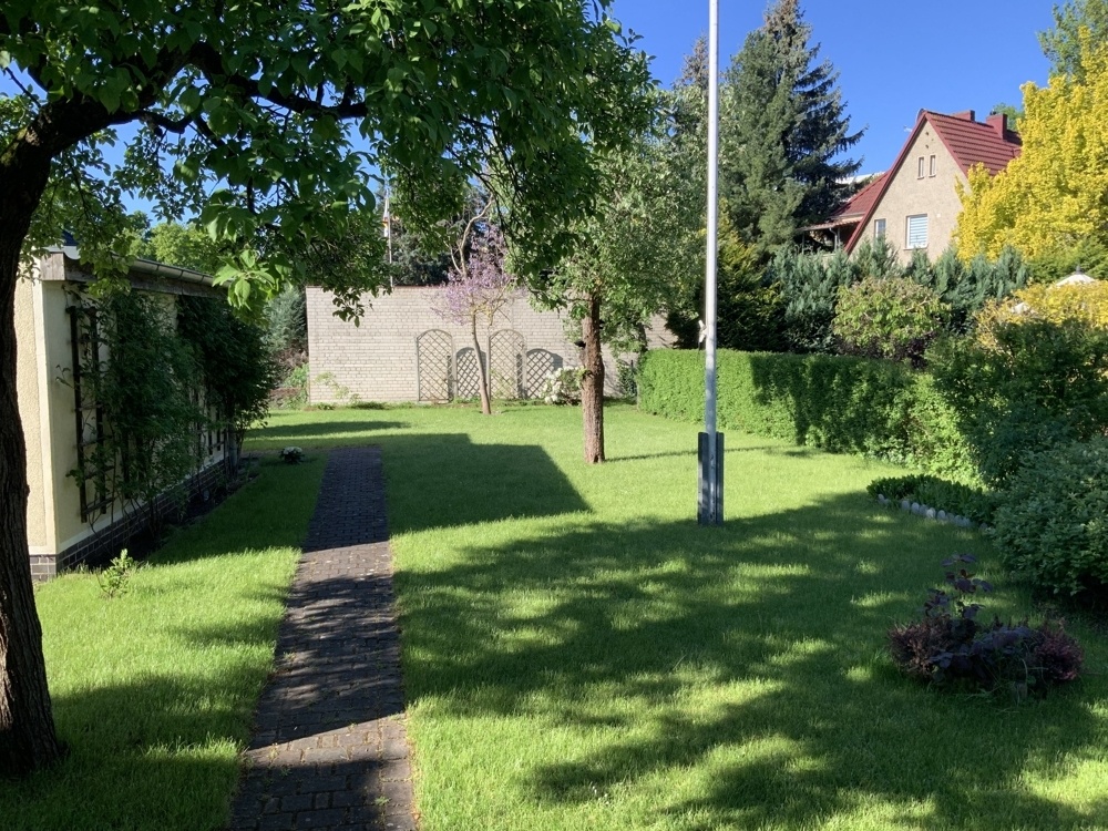 Blick in den Garten