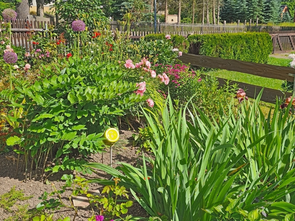 Gartenimpression