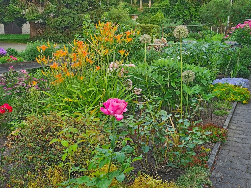 Gartenimpression