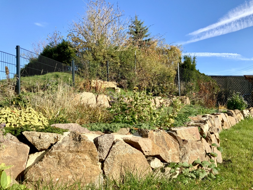 Impressionen aus dem Garten
