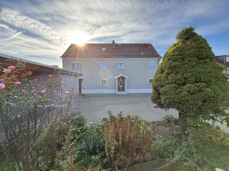 Blick über das Grundstück in Richtung Süden