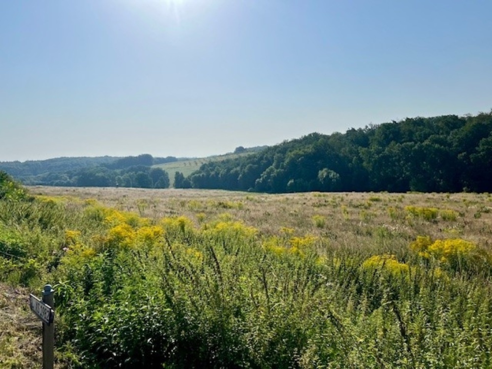 Aussicht vor dem Haus