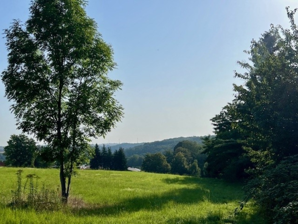 Umgebung