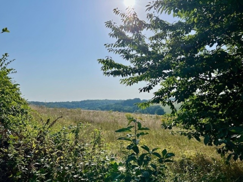 Umgebung