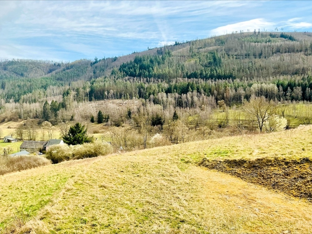 Ausblick von Terrasse und Balkon