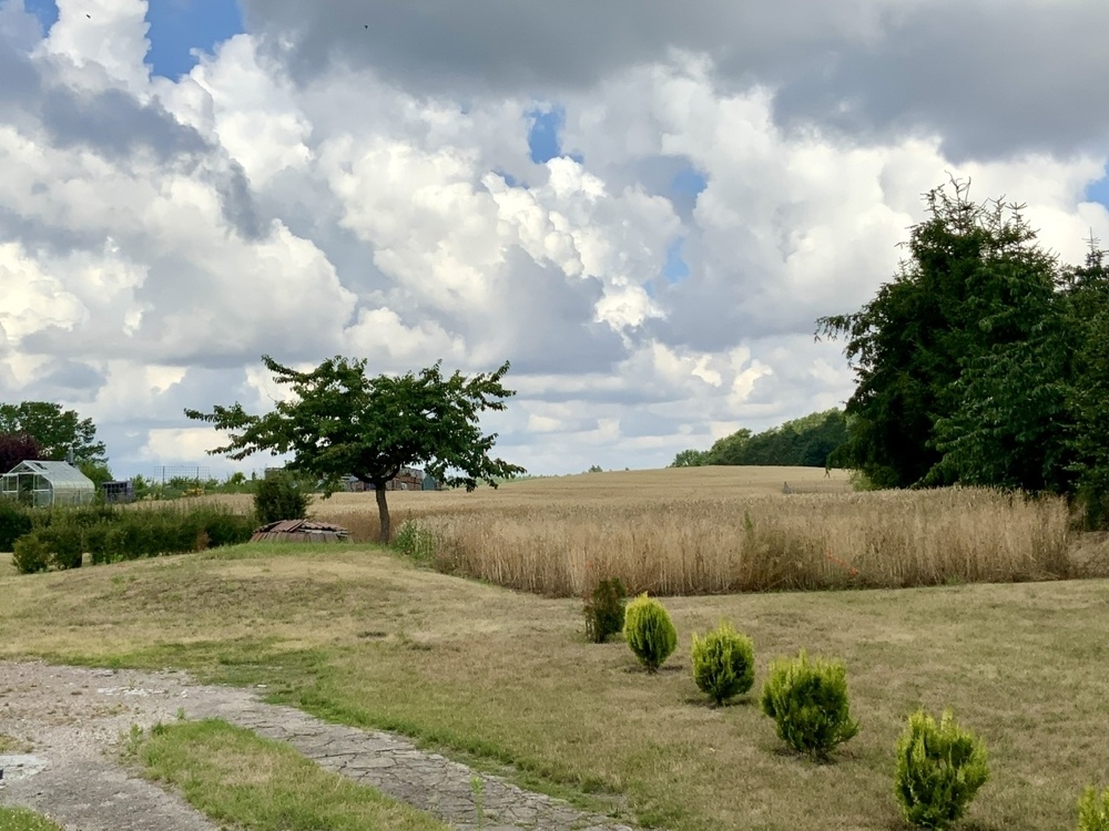 Grundstücksimpressionen
