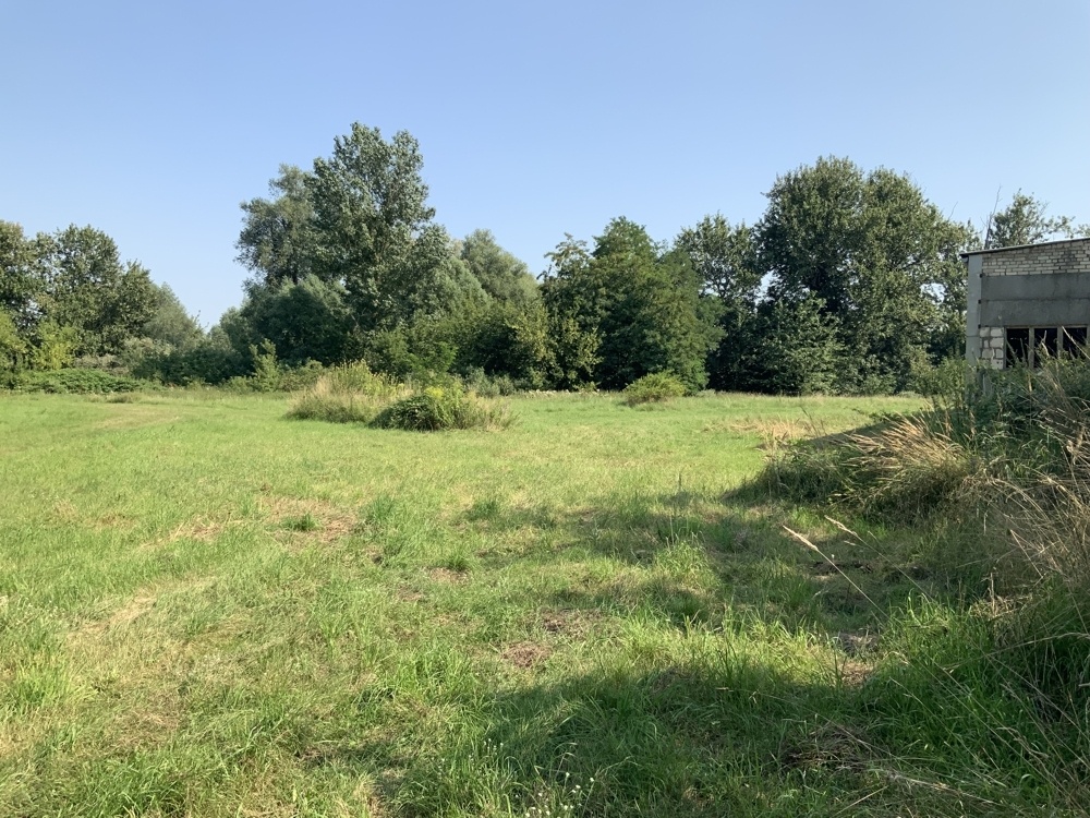 Blick auf das Grundstück