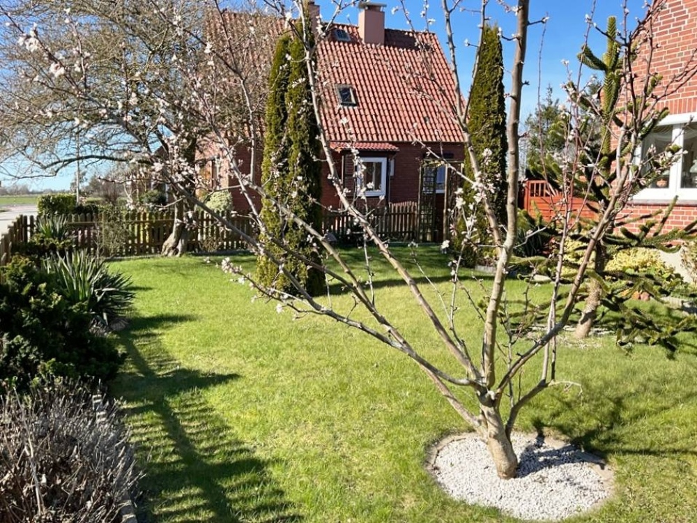 Natur pur