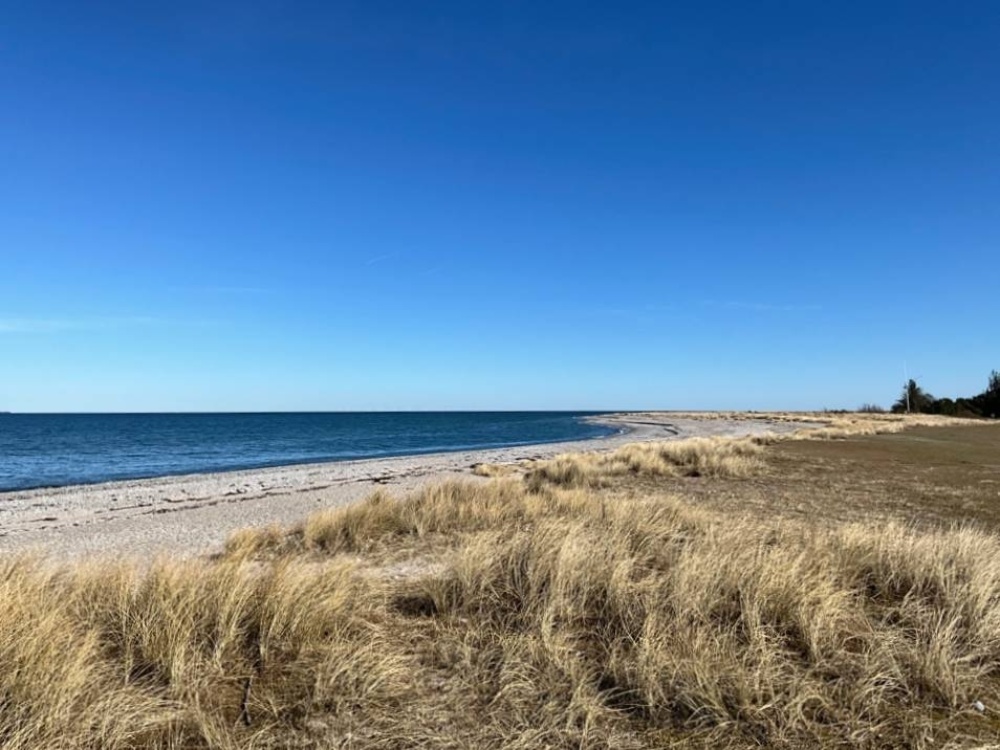 der Ostsee so nah