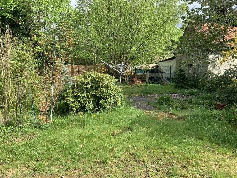 Blick in den Garten