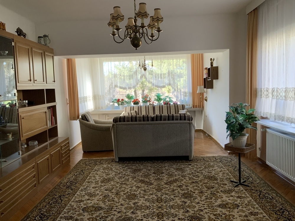 Blick ins Wohnzimmer