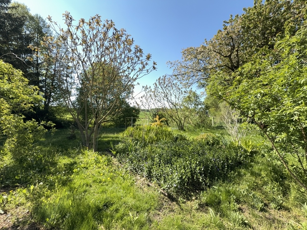 Blick in den Garten
