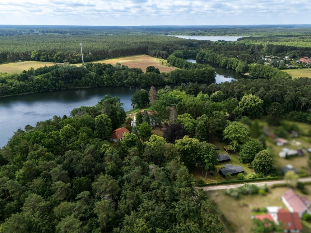 Parkblick