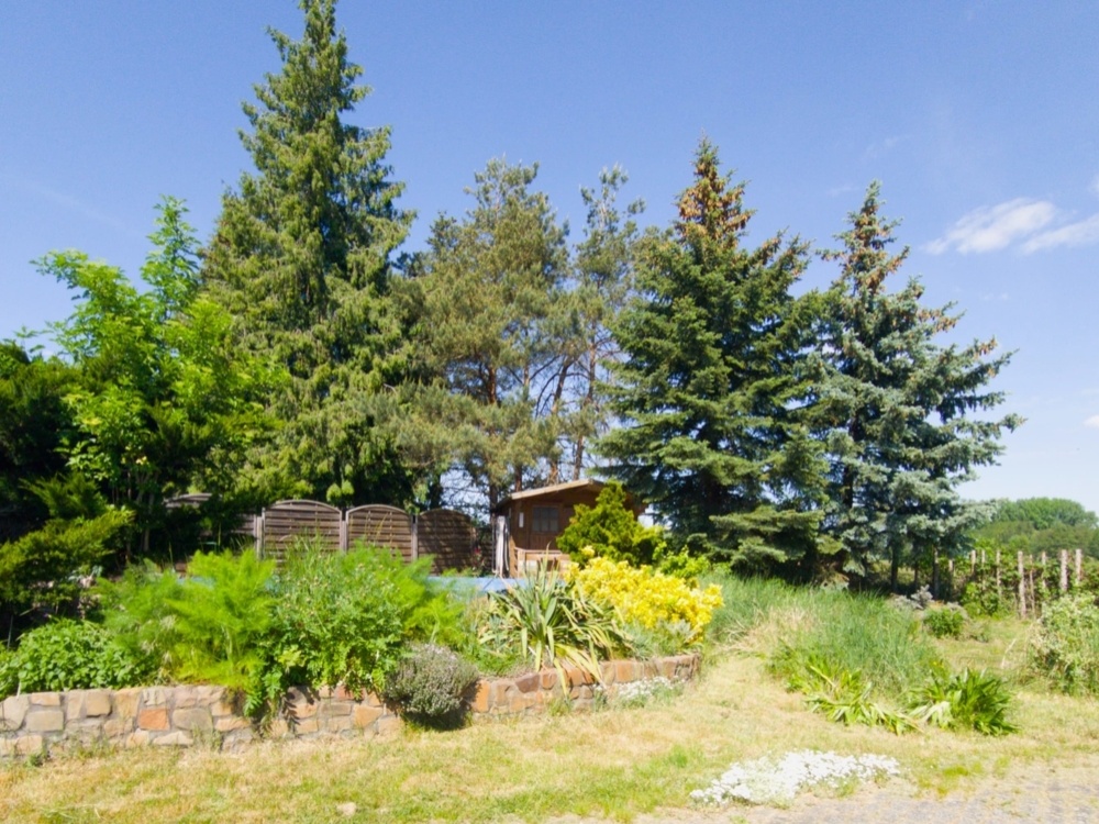 Garten 3